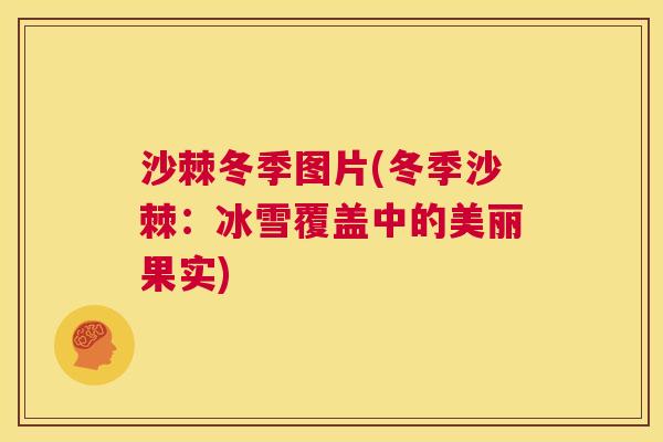 沙棘冬季图片(冬季沙棘：冰雪覆盖中的美丽果实)