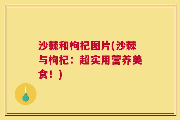 沙棘和枸杞图片(沙棘与枸杞：超实用营养美食！)