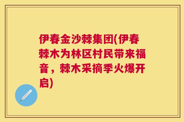 伊春金沙棘集团(伊春棘木为林区村民带来福音，棘木采摘季火爆开启)