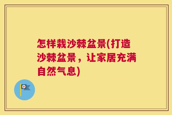 怎样栽沙棘盆景(打造沙棘盆景，让家居充满自然气息)