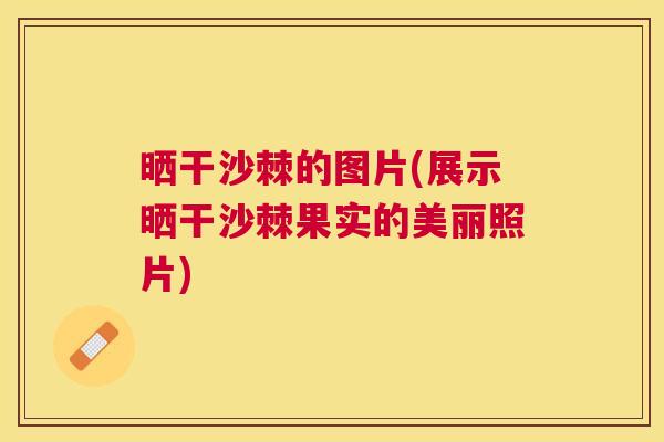 晒干沙棘的图片(展示晒干沙棘果实的美丽照片)
