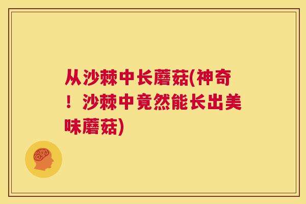 从沙棘中长蘑菇(神奇！沙棘中竟然能长出美味蘑菇)