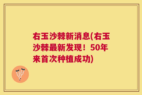 右玉沙棘新消息(右玉沙棘最新发现！50年来首次种植成功)