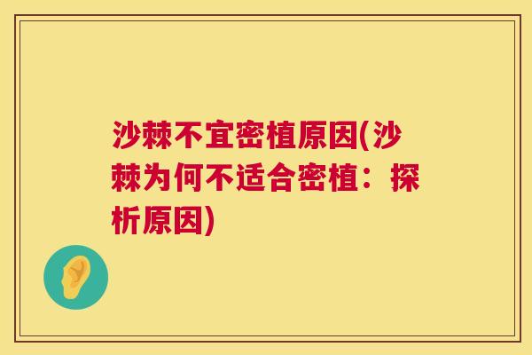 沙棘不宜密植原因(沙棘为何不适合密植：探析原因)
