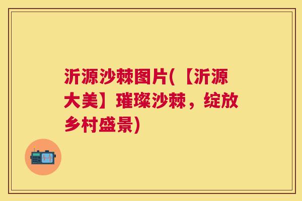沂源沙棘图片(【沂源大美】璀璨沙棘，绽放乡村盛景)