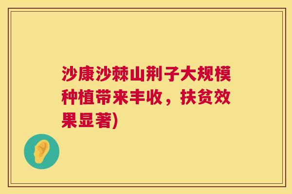 沙康沙棘山荆子大规模种植带来丰收，扶贫效果显著)