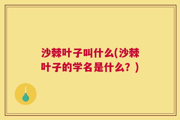 沙棘叶子叫什么(沙棘叶子的学名是什么？)