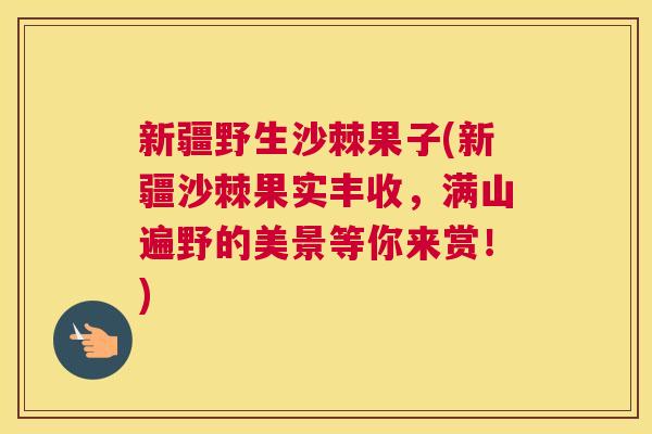 新疆野生沙棘果子(新疆沙棘果实丰收，满山遍野的美景等你来赏！)