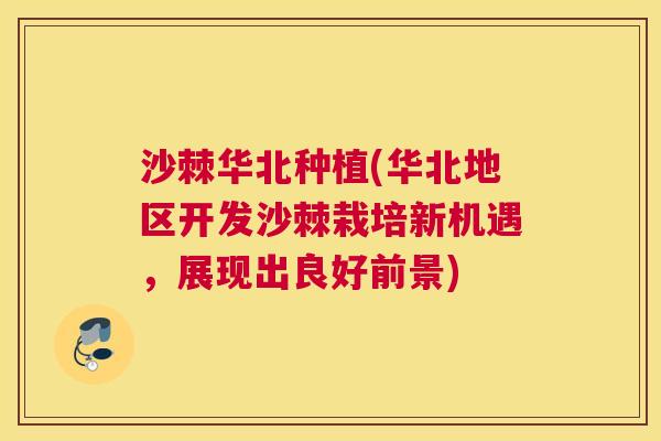 沙棘华北种植(华北地区开发沙棘栽培新机遇，展现出良好前景)