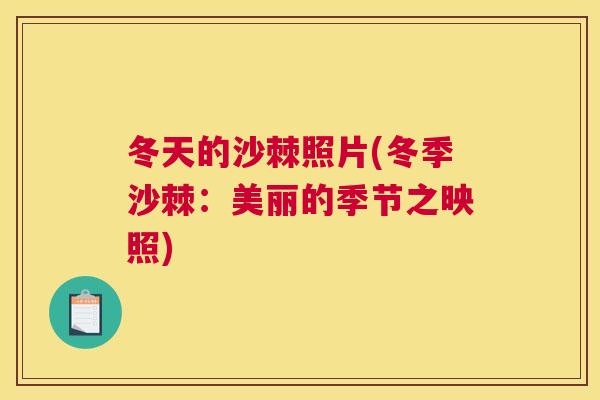 冬天的沙棘照片(冬季沙棘：美丽的季节之映照)
