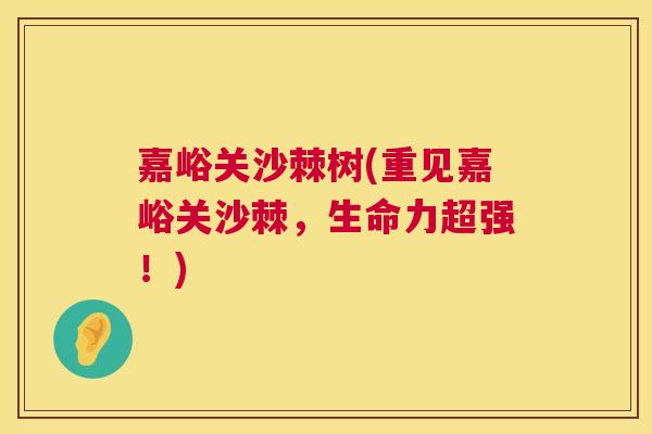 嘉峪关沙棘树(重见嘉峪关沙棘，生命力超强！)