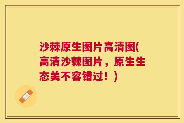 沙棘原生图片高清图(高清沙棘图片，原生生态美不容错过！)