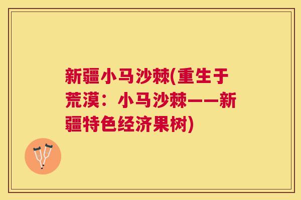新疆小马沙棘(重生于荒漠：小马沙棘——新疆特色经济果树)