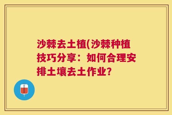 沙棘去土植(沙棘种植技巧分享：如何合理安排土壤去土作业？