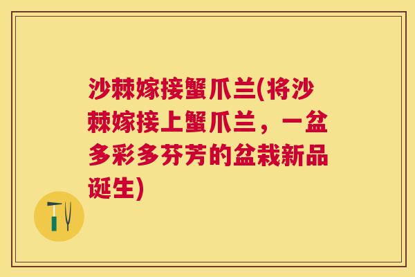 沙棘嫁接蟹爪兰(将沙棘嫁接上蟹爪兰，一盆多彩多芬芳的盆栽新品诞生)
