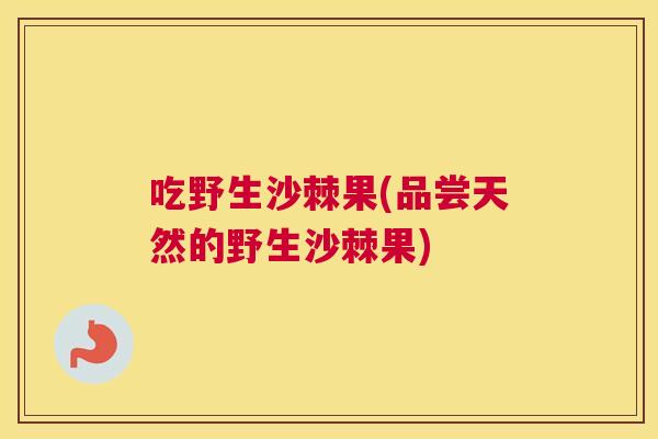 吃野生沙棘果(品尝天然的野生沙棘果)