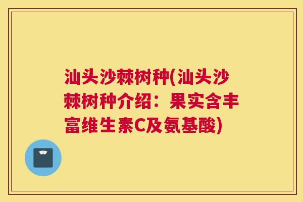 汕头沙棘树种(汕头沙棘树种介绍：果实含丰富维生素C及氨基酸)