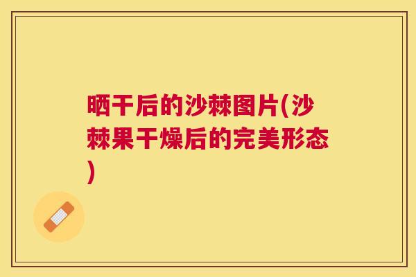 晒干后的沙棘图片(沙棘果干燥后的完美形态)