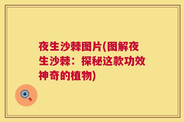 夜生沙棘图片(图解夜生沙棘：探秘这款功效神奇的植物)