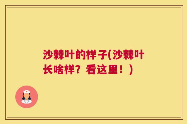 沙棘叶的样子(沙棘叶长啥样？看这里！)