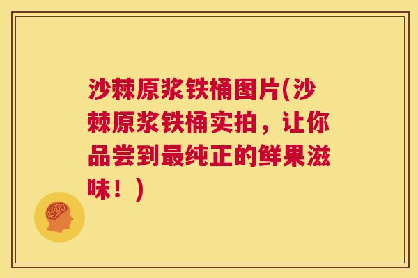 沙棘原浆铁桶图片(沙棘原浆铁桶实拍，让你品尝到最纯正的鲜果滋味！)