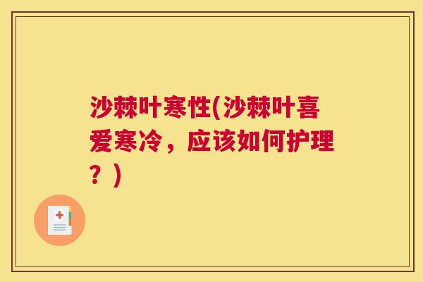沙棘叶寒性(沙棘叶喜爱寒冷，应该如何护理？)