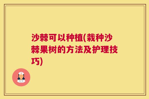 沙棘可以种植(栽种沙棘果树的方法及护理技巧)