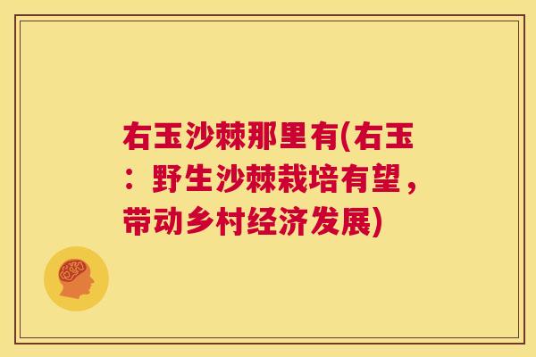 右玉沙棘那里有(右玉：野生沙棘栽培有望，带动乡村经济发展)