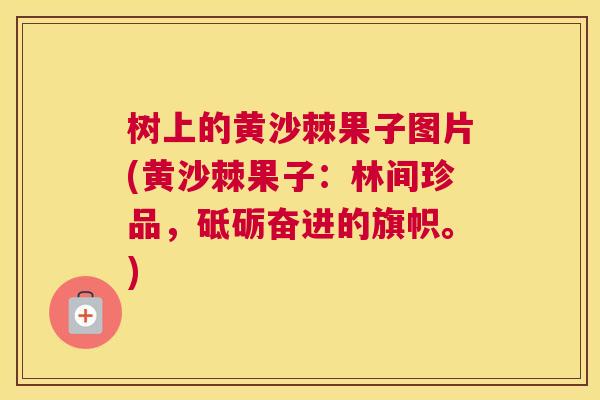 树上的黄沙棘果子图片(黄沙棘果子：林间珍品，砥砺奋进的旗帜。)