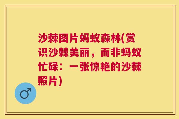 沙棘图片蚂蚁森林(赏识沙棘美丽，而非蚂蚁忙碌：一张惊艳的沙棘照片)