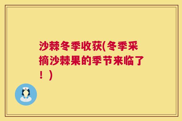 沙棘冬季收获(冬季采摘沙棘果的季节来临了！)