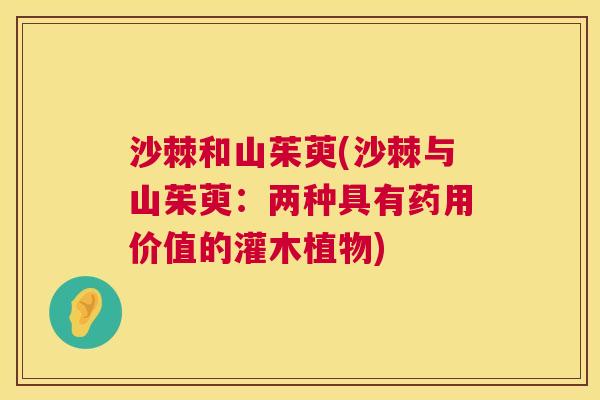沙棘和山茱萸(沙棘与山茱萸：两种具有药用价值的灌木植物)
