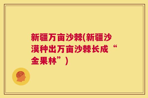 新疆万亩沙棘(新疆沙漠种出万亩沙棘长成“金果林”)