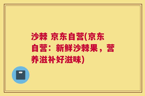 沙棘 京东自营(京东自营：新鲜沙棘果，营养滋补好滋味)