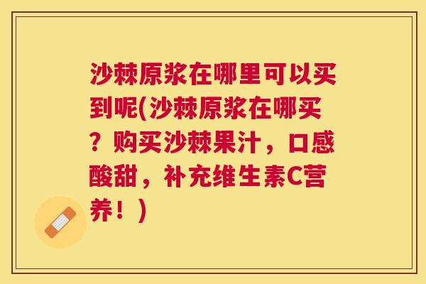 沙棘原浆在哪里可以买到呢(沙棘原浆在哪买？购买沙棘果汁，口感酸甜，补充维生素C营养！)