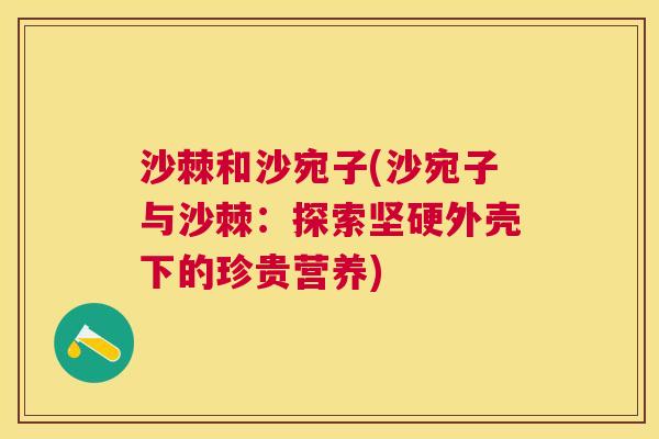 沙棘和沙宛子(沙宛子与沙棘:探索坚硬外壳下的珍贵营养) 沙棘和沙宛子(沙宛子与沙棘:探索坚硬外壳下的珍贵营养)