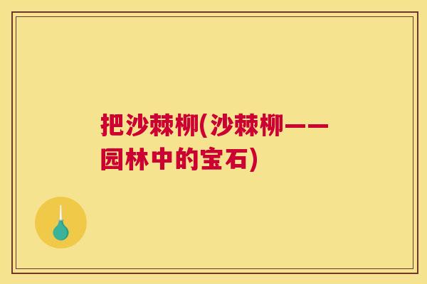 把沙棘柳(沙棘柳——园林中的宝石)