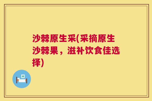 沙棘原生采(采摘原生沙棘果，滋补饮食佳选择)