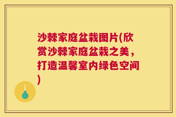 沙棘家庭盆栽图片(欣赏沙棘家庭盆栽之美，打造温馨室内绿色空间)
