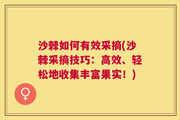 沙棘如何有效采摘(沙棘采摘技巧:高效、轻松地收集丰富果实!) 沙棘如何有效采摘(沙棘采摘技巧:高效、轻松地收集丰富果实!)