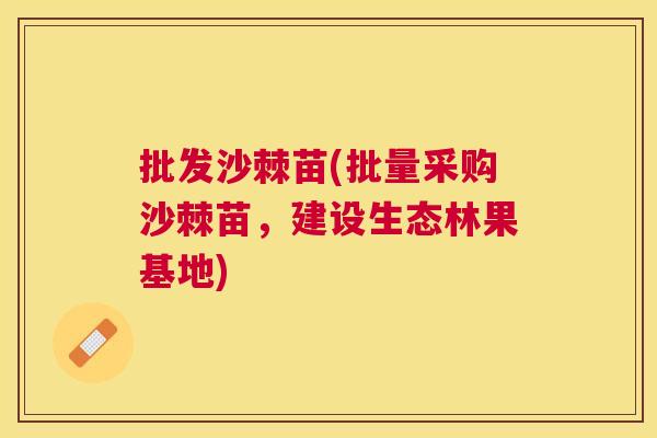 批发沙棘苗(批量采购沙棘苗，建设生态林果基地)