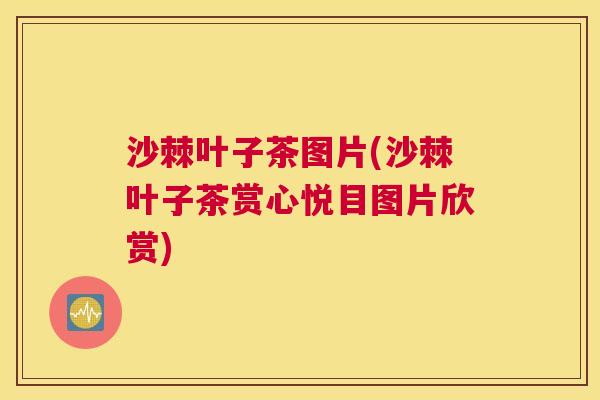沙棘叶子茶图片(沙棘叶子茶赏心悦目图片欣赏)
