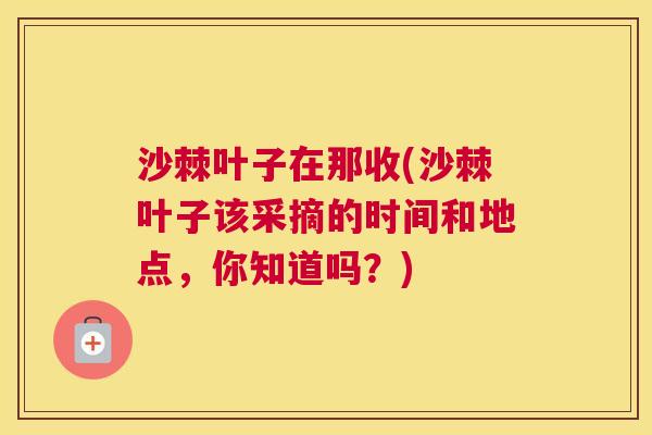 沙棘叶子在那收(沙棘叶子该采摘的时间和地点，你知道吗？)