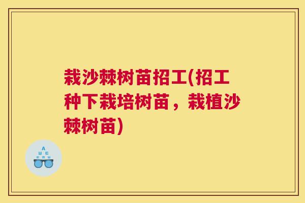 栽沙棘树苗招工(招工种下栽培树苗，栽植沙棘树苗)