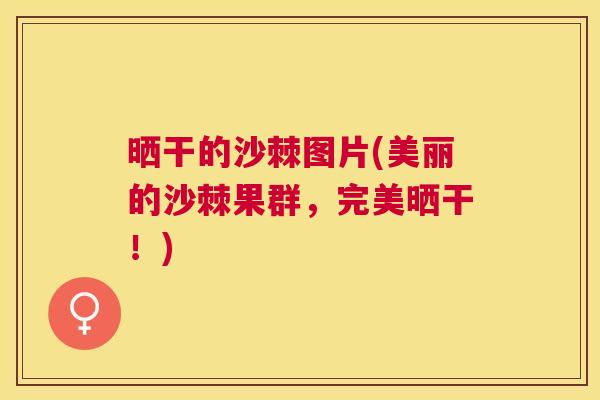 晒干的沙棘图片(美丽的沙棘果群，完美晒干！)