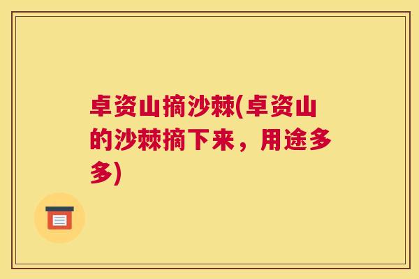 卓资山摘沙棘(卓资山的沙棘摘下来,用途多多)