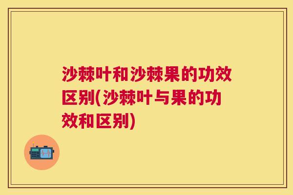 沙棘叶和沙棘果的功效区别(沙棘叶与果的功效和区别)