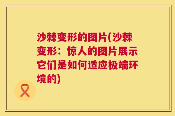 沙棘变形的图片(沙棘变形：惊人的图片展示它们是如何适应极端环境的)