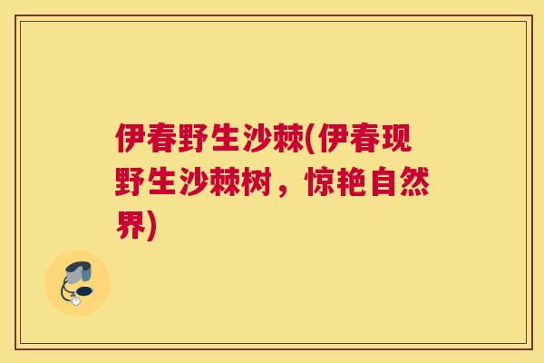 伊春野生沙棘(伊春现野生沙棘树，惊艳自然界)