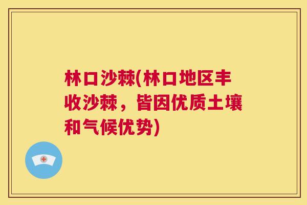 林口沙棘(林口地区丰收沙棘，皆因优质土壤和气候优势)